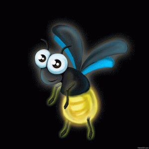 firefly gif